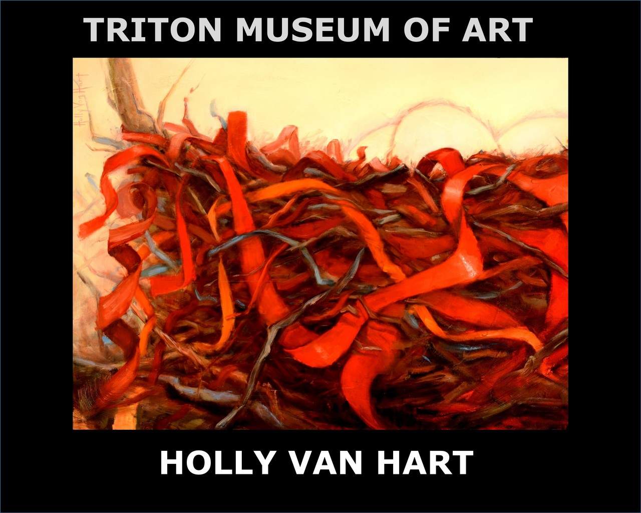 Instant Download Free Triton Museum of Art book for Holly Van Hart's solo exhibition