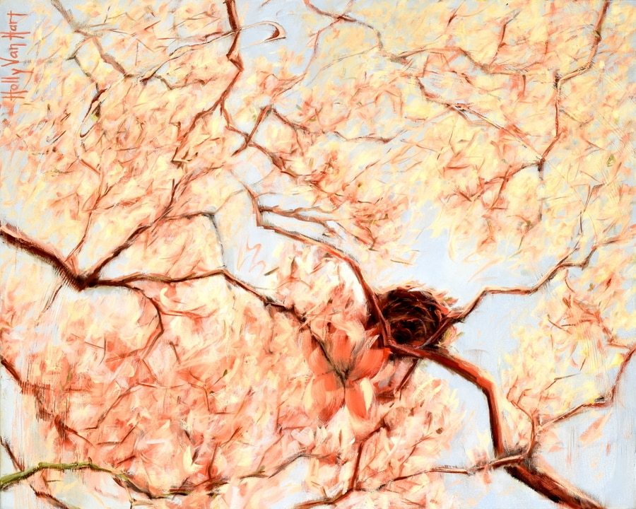 Nest Painting In Flowering Trees By American Artist Holly Van Hart